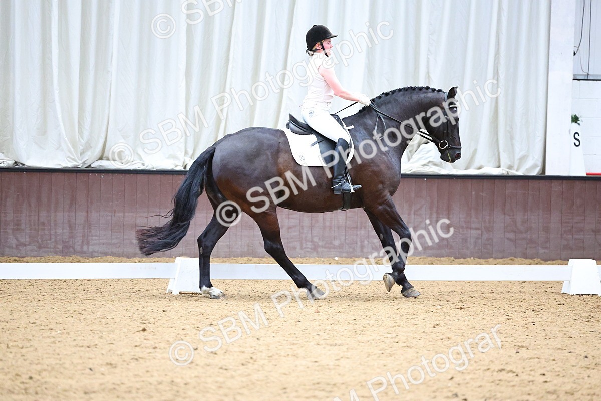 SBM_005553 - Elementary 2