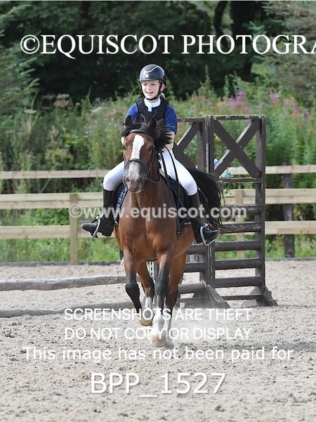 BPP_1527 - DERBY CLASS 3 - 40CM