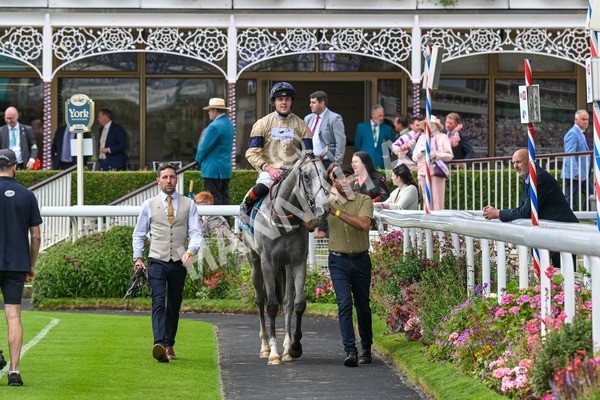 270724-Race 4-Greydreambeliever-7314 - Race 4 4.00pm Sky Bet Club EBF Fillies' Novice Stakes