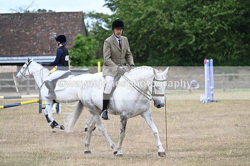 WJ7_0925 - Class 7 Riding Club Show Horse