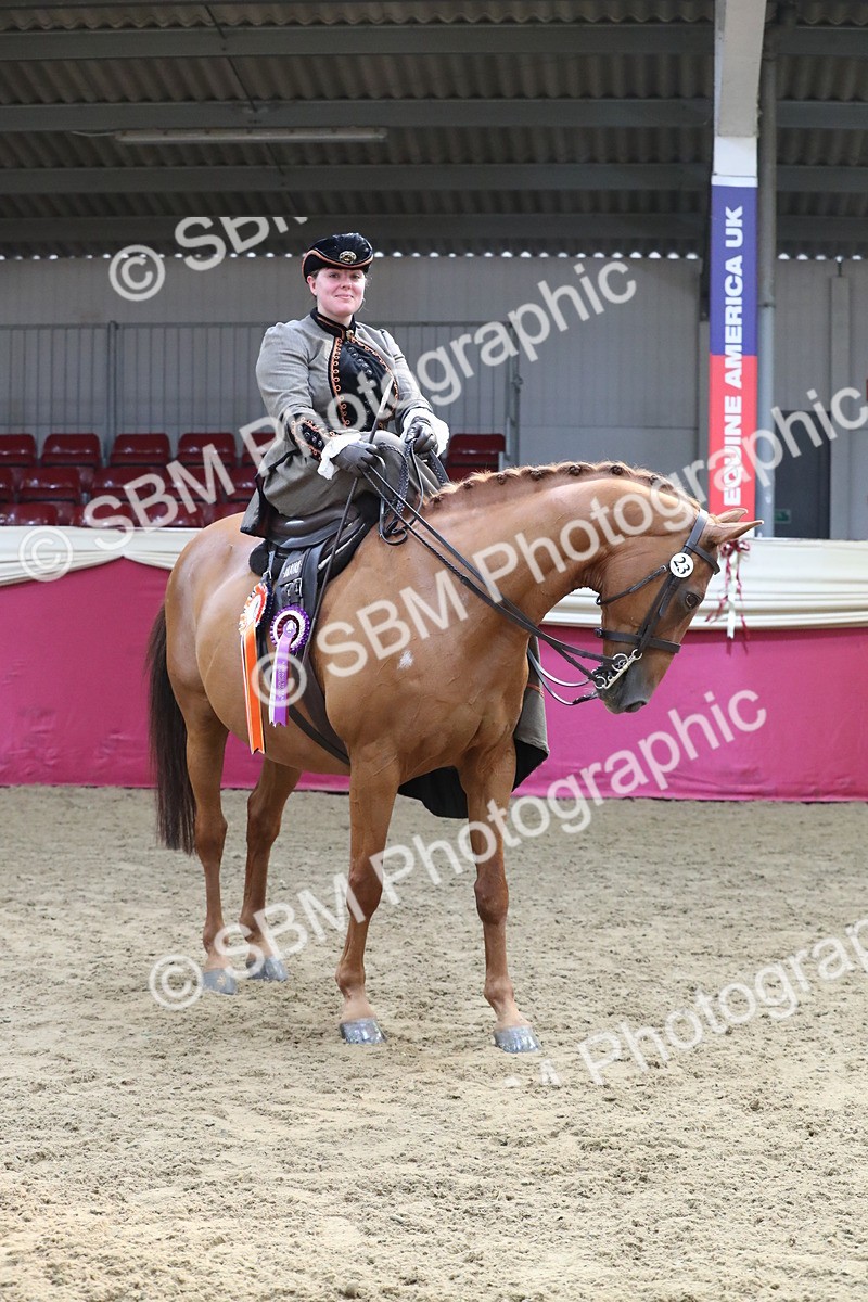 SBM_11632 - Class 105 Ridden Costume- Side Saddle