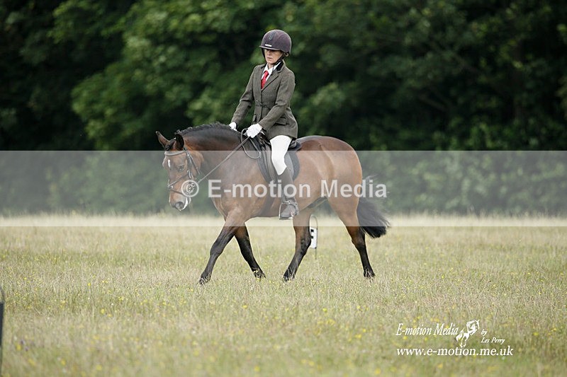 BVRC 030721 399 - Bourne Valley Riding Club Dressage 03/07/21