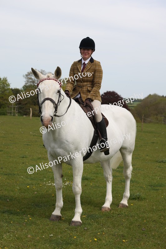 20260426-4396 - Class 34 - Best Riding Horse Over 14.2hh