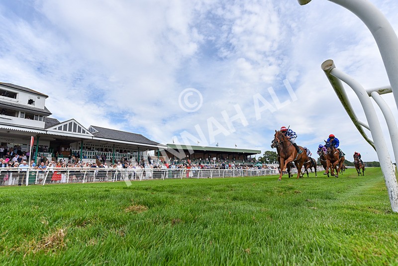260826-Race 4-Niffler-6402 - Race 4 15:45 Hats Of Yorkshire Handicap