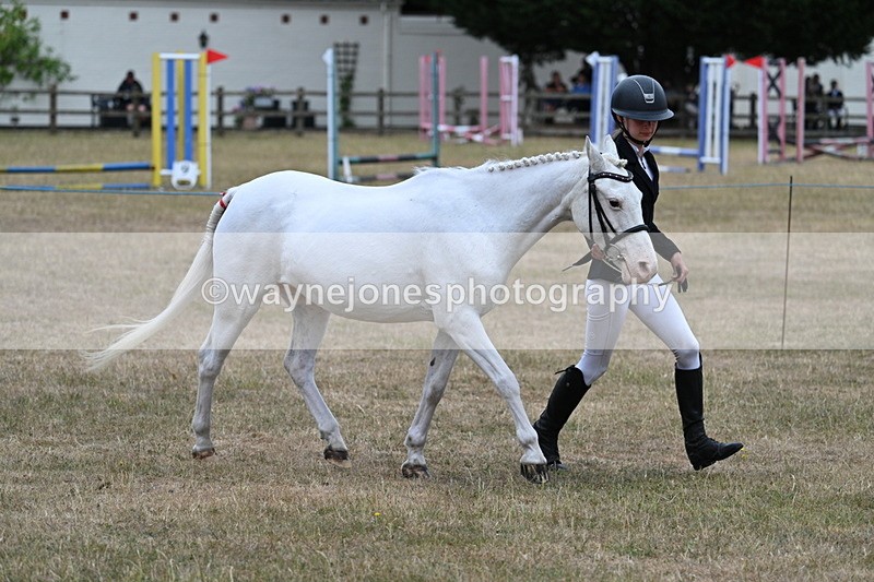 WJ7_8318 - Class 4 Prettiest Mare up to 14.2hh
