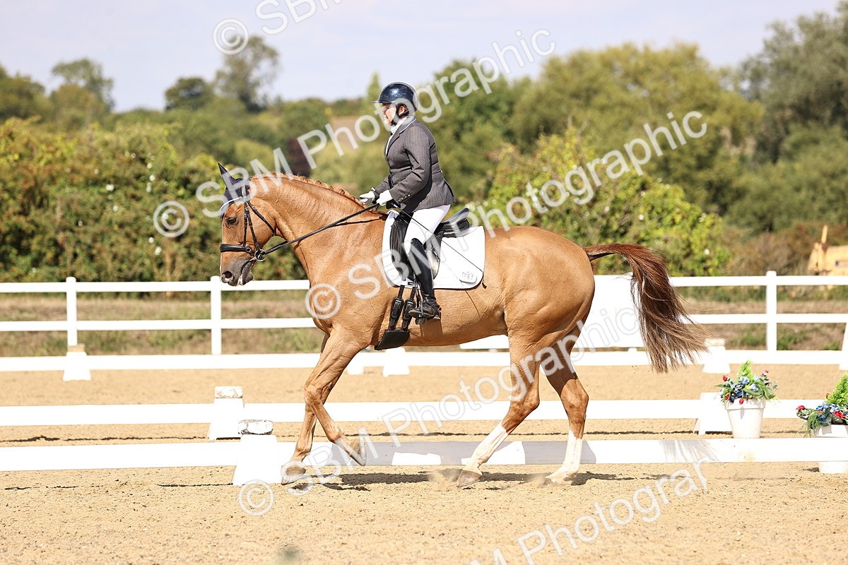 SBM_015091 - Class 6 - Elementary 5