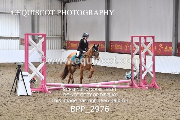 BPP_2976 - CLASS 0 Clear Round Show Jumping