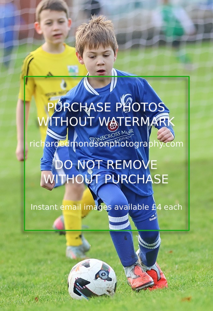 533A6229 - Ibis Under 8's (29/11/25)