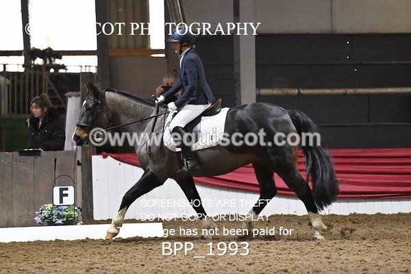 BPP_1993 - PRELIM TEST 2