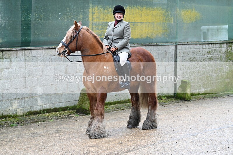 WJ7_8707 - Berks & Bucks - Rowles Farm 15-02-26