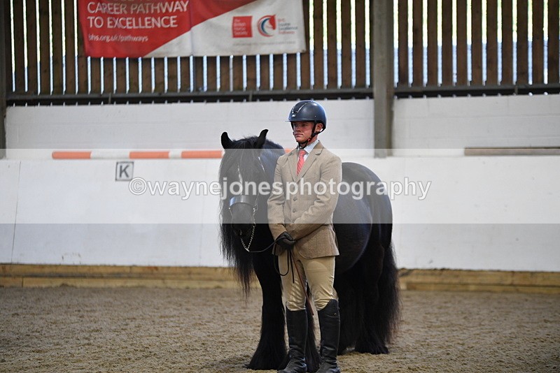 WJ5_4453 - Class 6 In hand M&M - Large Breeds