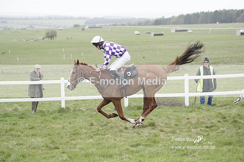 PtP 260323 0935 - New Forest Hounds Point-to-Point Larkhill 26/03/23