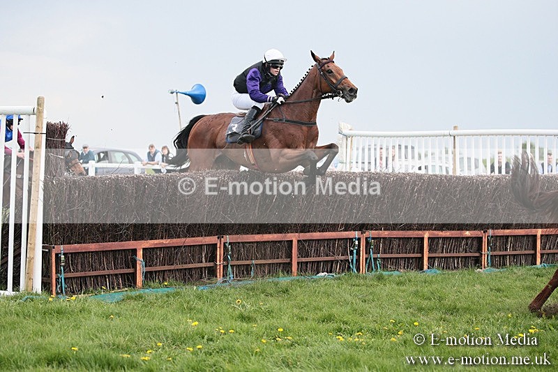 PtP 210418 376 - South & West Wilts Point-to-Point Larkhill 21/04/18