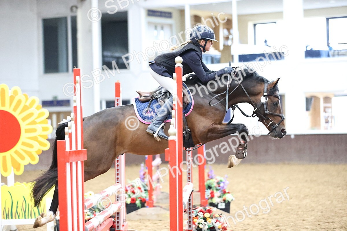 SBM_000132 - Class 2 - Pony British Novice - 80cm Open