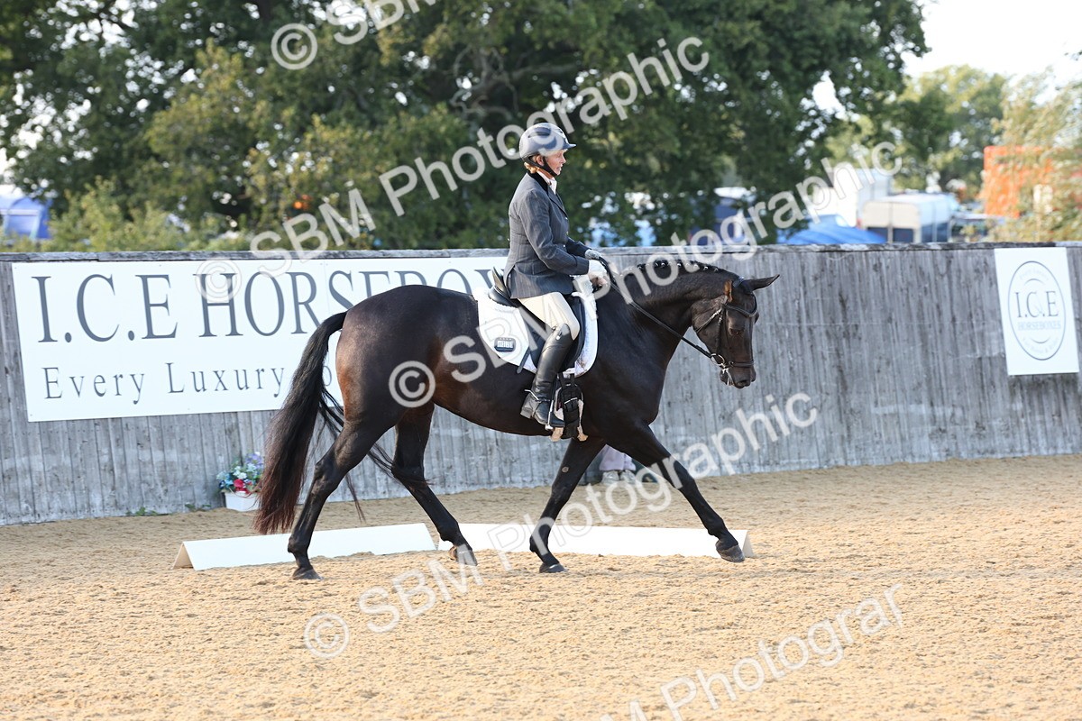 SBM_28253 - D20 - Grand Tour Championship Elementary 3