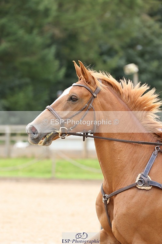 240817-141738-01819 - 05A Snr Newc