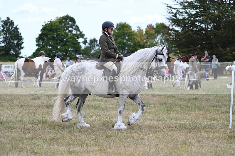 WJ7_4680 - Class 12 Ridden Cob