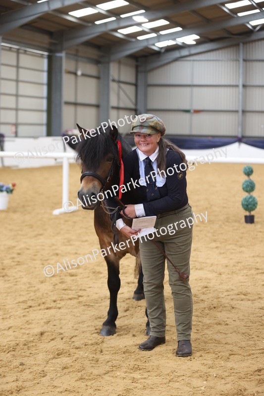 20260913-1767 - Class 117 - Stallion 4years and over