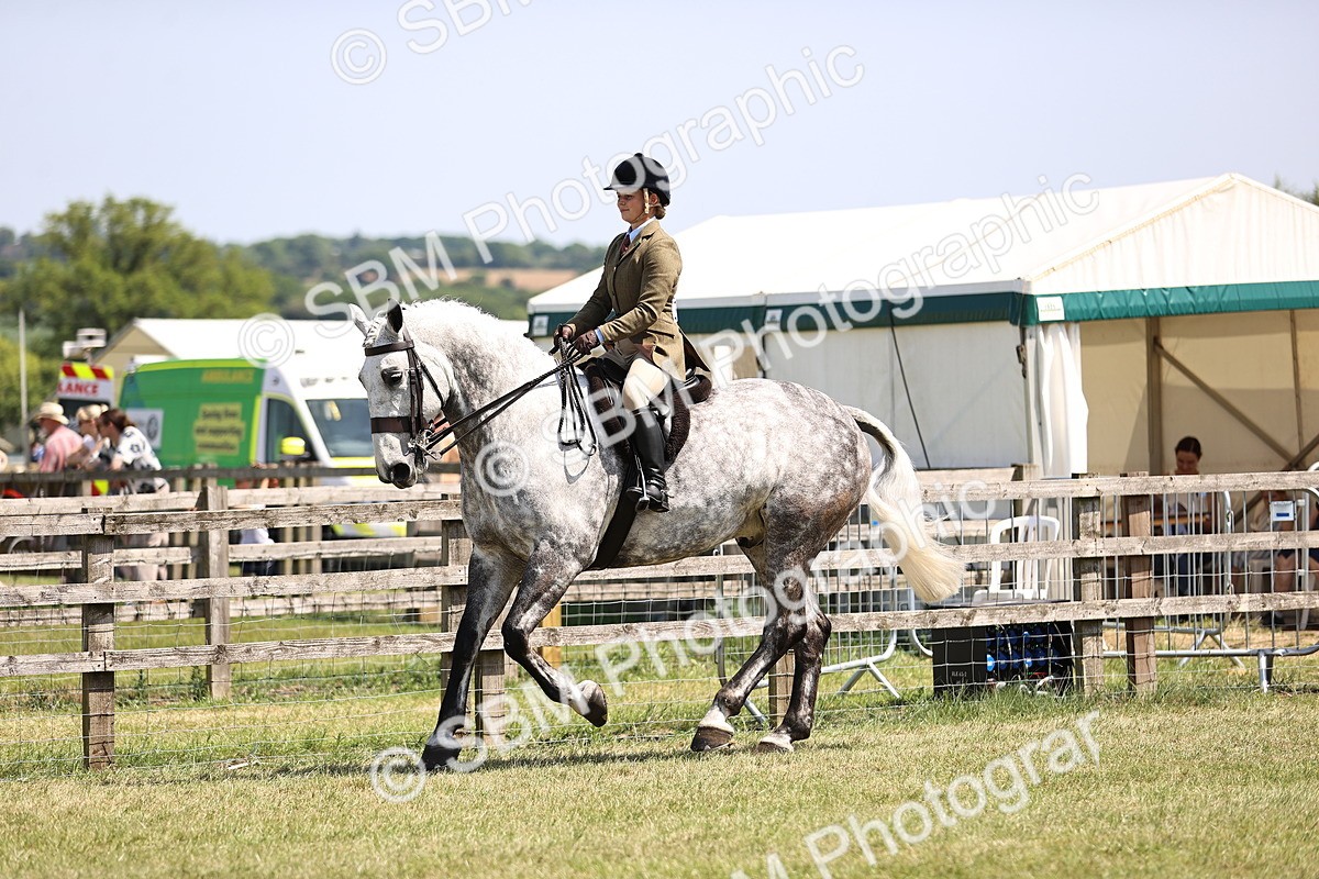 SBM_16108 - Class 79-80 - LIHS BSHA Rising Star Ridden Hunter