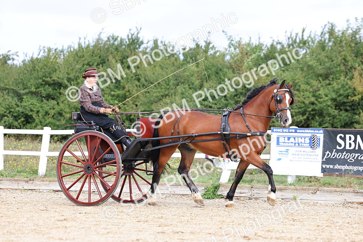 SBM_000721 - Class 6 - Exercise Vehicle 13.2 and over