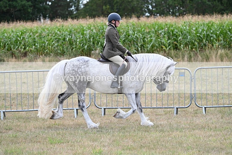 WJ7_5267 - Class 12 Ridden Cob