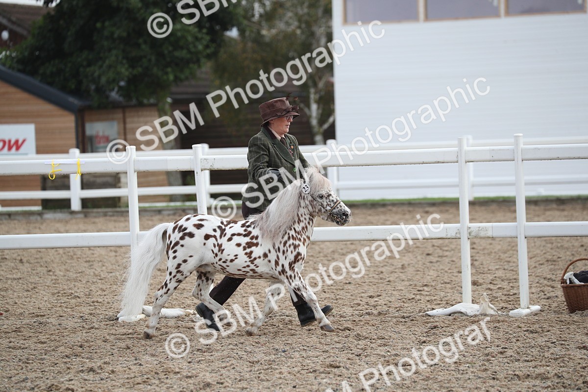 SBM_23072 - Class 605 - 2025 Area - IH Veteran