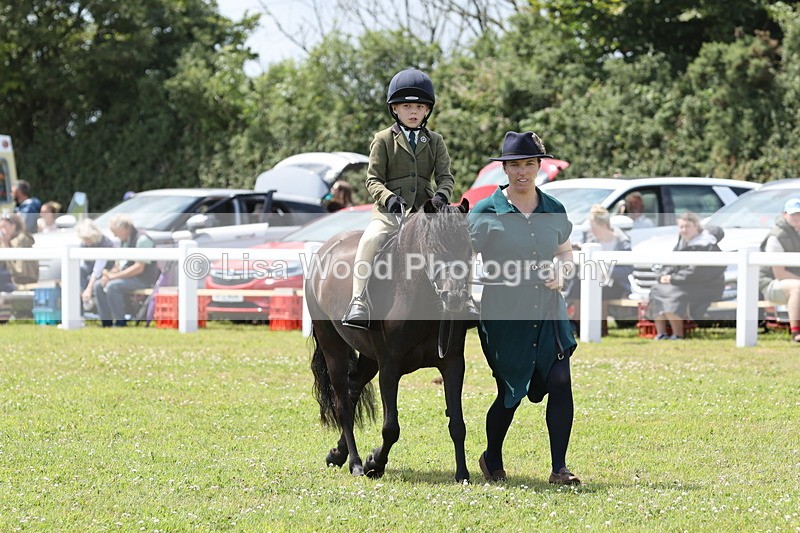 JPP_1876 - Class 18: Tiny Tots Working Hunter Pony