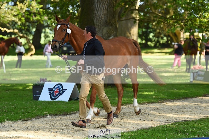 230524-164144-01028 - 111-CREEVAGHSTABLES_IFICUDIWUD-Tim_Cheffings-WEDTrotUp+DR