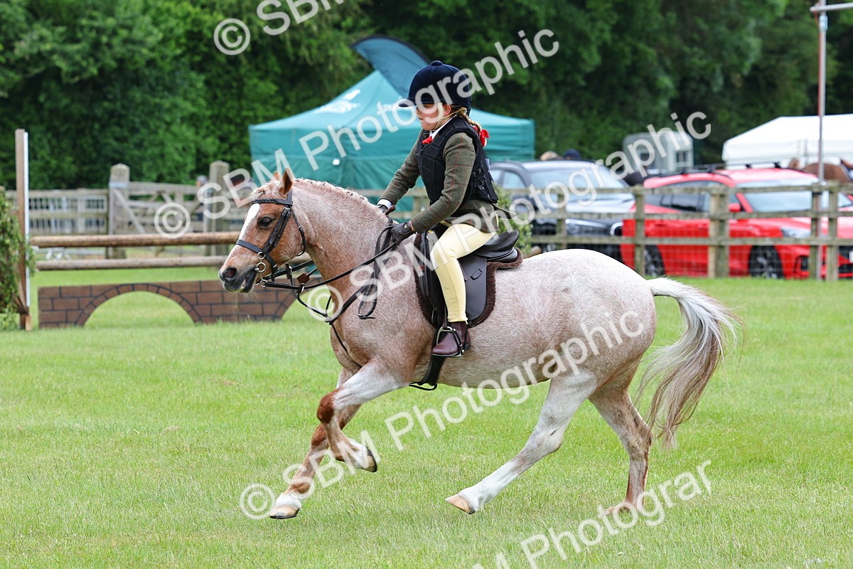 SBM_09423 - Class 44-45 - LIHS BSPS Open Nursery and Cradle Stakes