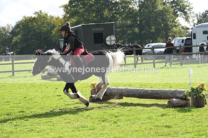 WJ7_3727 - 40cm Time 10:26 to 10:42