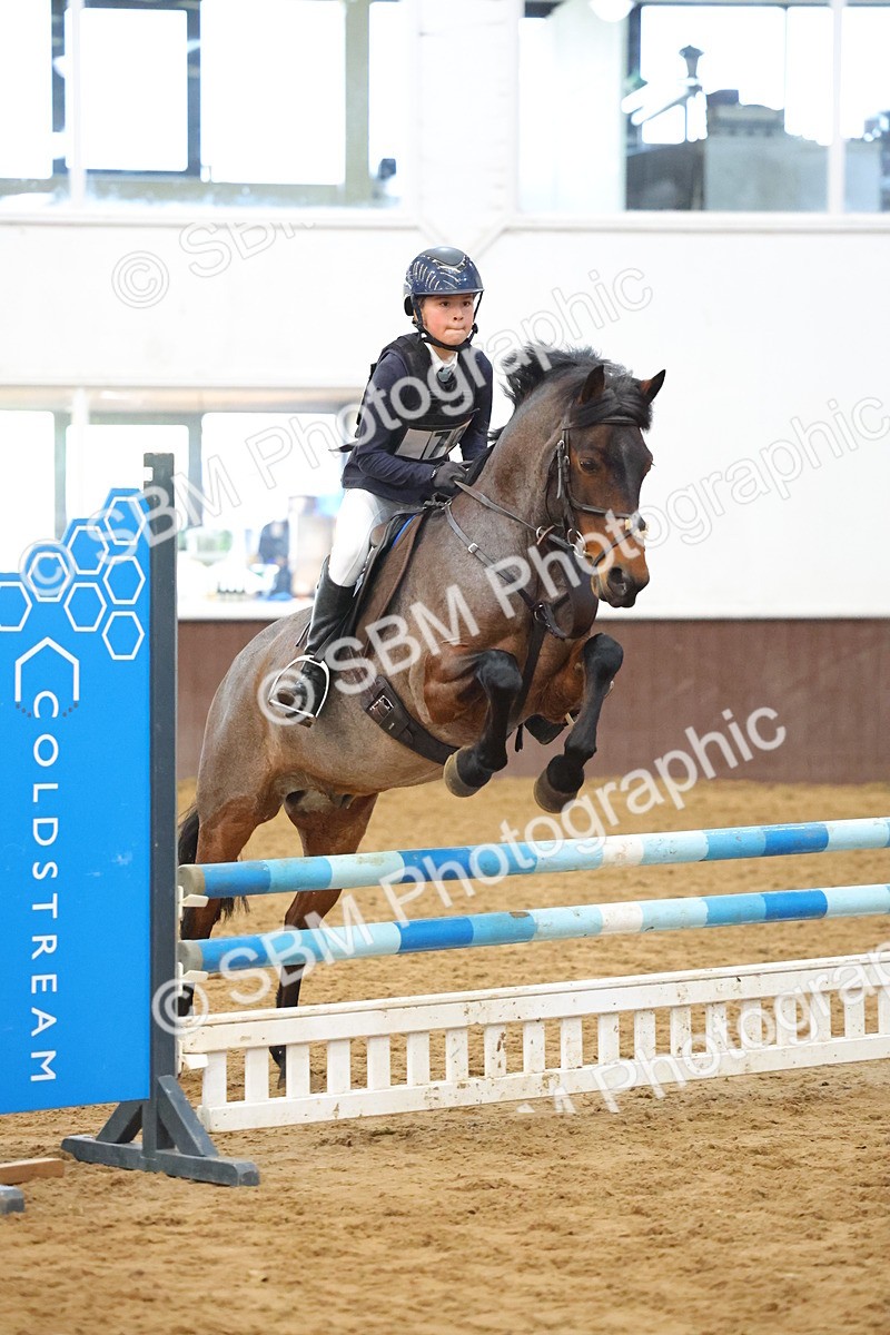 SBM_001823 - Class 5 - Show Jumping 80cm