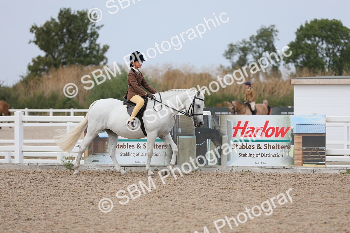 SBM_16848 - Class 314 Family Horse/Pony