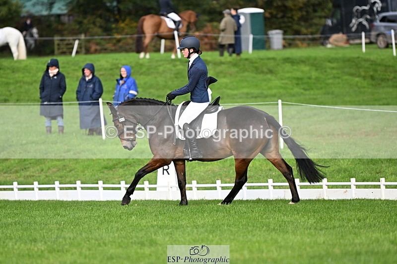 251023A-110001-02664 - G-511-Clara.Tuke