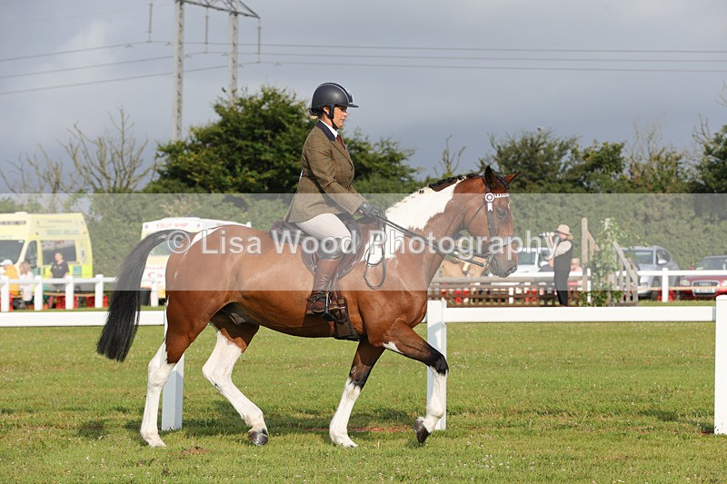 1X9A2826 - Class 25: Ridden Plaited Coloured Horse