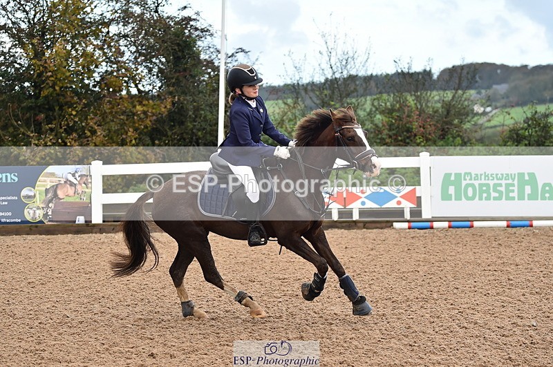 231029A-110400-02537 - Pony British Novice & 80cm Open