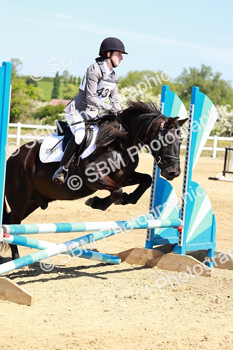 SBM_007371 - Class 3 - 60cm