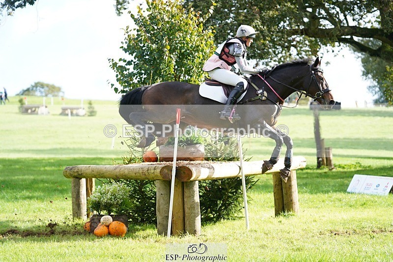 231020-115806-07008 - 057-OVERTON.TILANA'S.GOLD-Claire.Deuten-XC