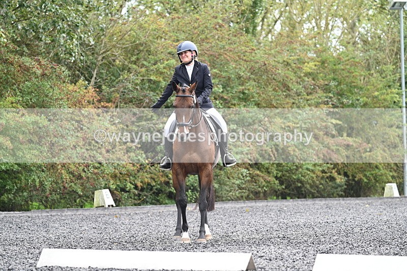 WJ7_3917 - Time 11:04 to 11:38