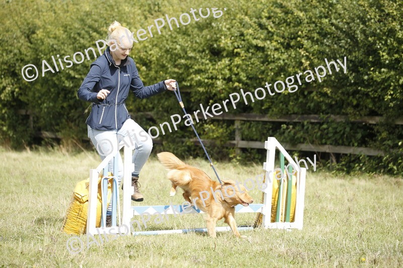 20250831-3893 - Dog Show