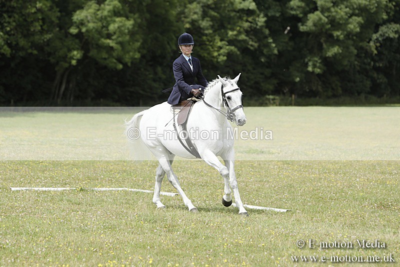 BVR160717-2056 - Class 4 & 5 Dressage 16/07/17