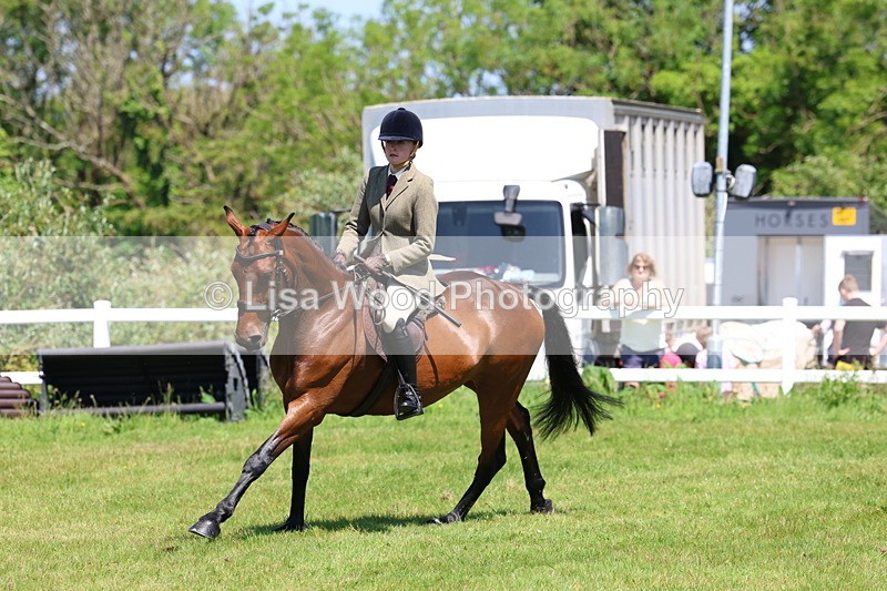 3E7A7222 - Class 30: Novice Working Hunter