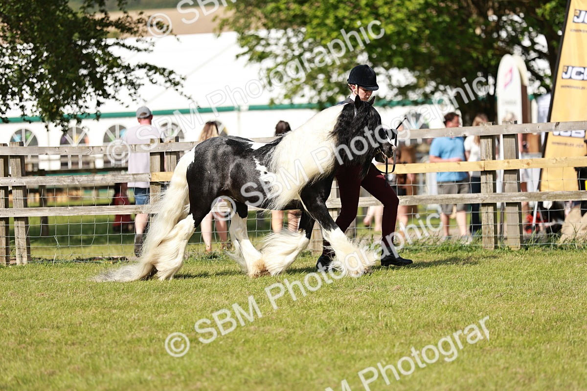 SBM_08769