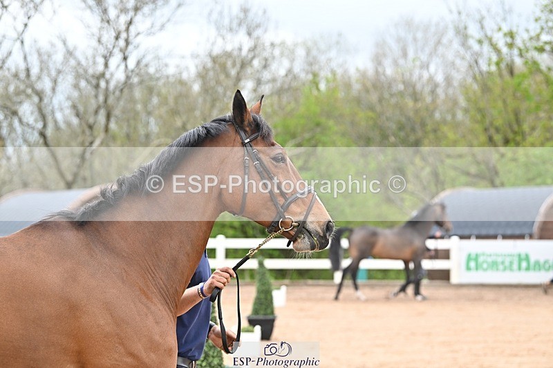 250423-122137-00253 - 12 to 1pm