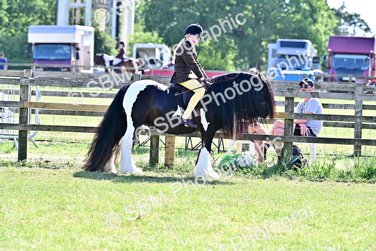 SBM_19415 - Class 101-102 - BSPS LIHS Performance Coloured Horse/Pony