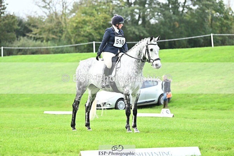 241024-115317-02527 - 510-Kathryn.Virjee-BROWNSTOWNS.SEAWATCH