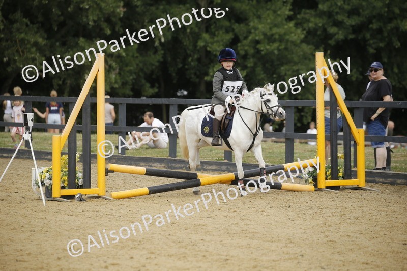 20250622-1465 - 40cm