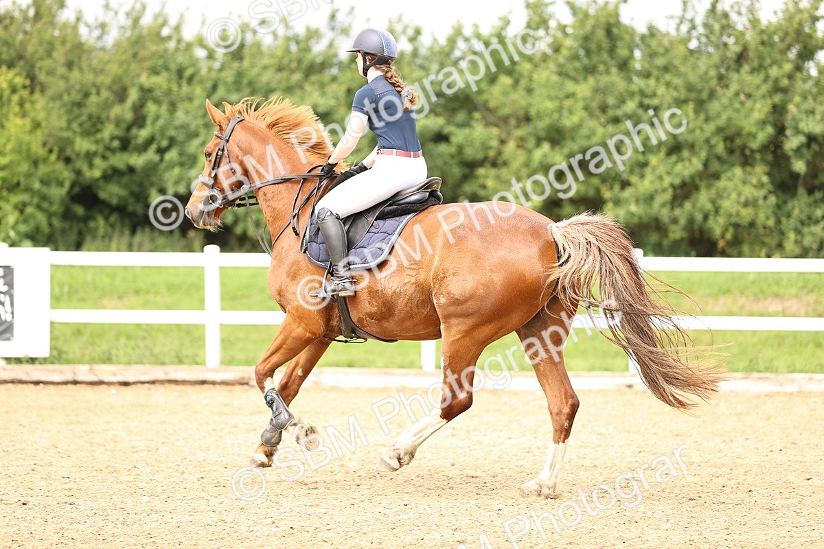 SBM_002772 - 90cm