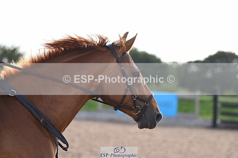 230711A-183644-00444 - 90cm