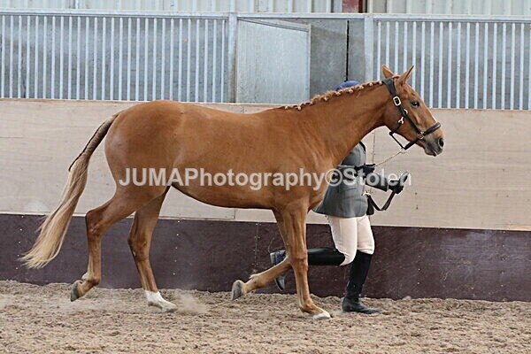 SIAL9619 - Indoor Classes