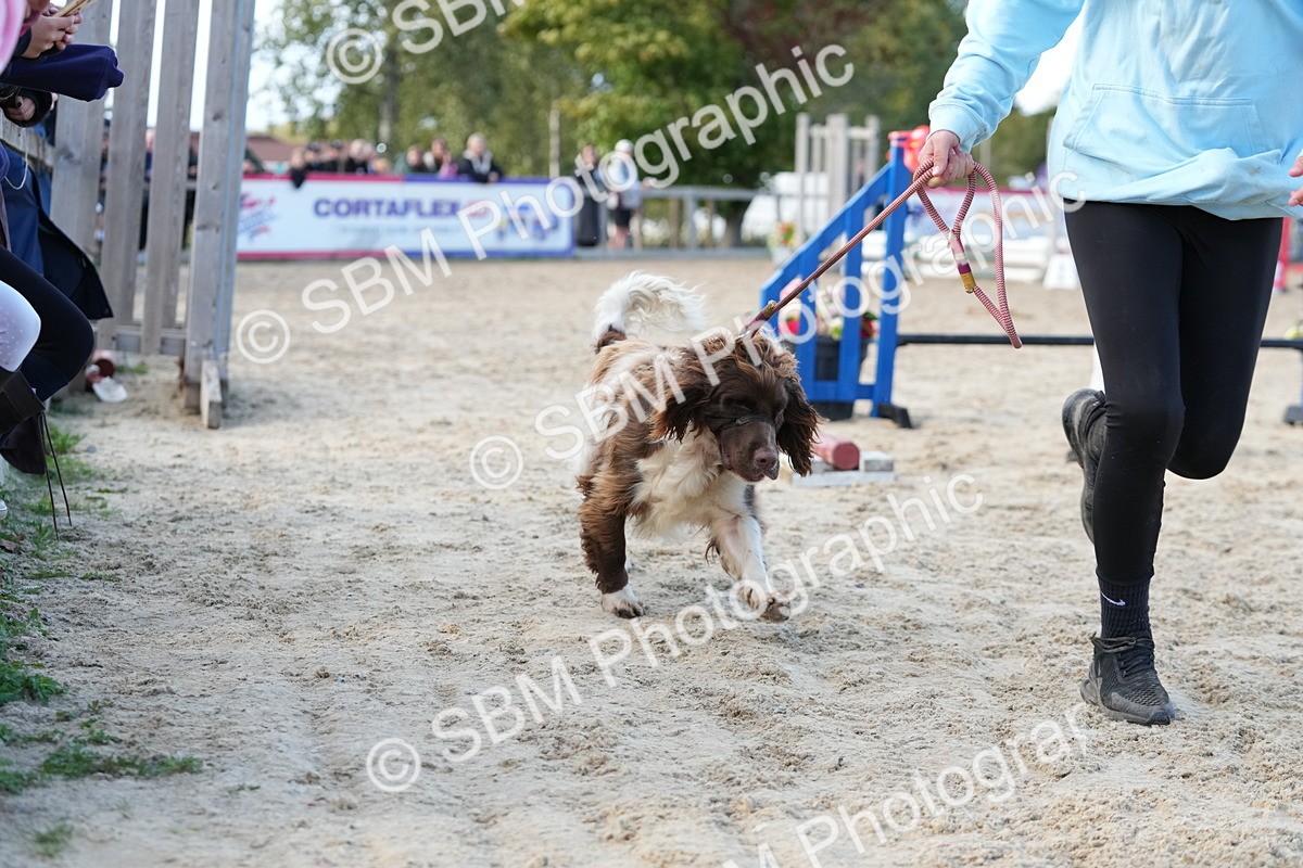 SBM_29153 - J43 - Horse & Hound Open 50cm